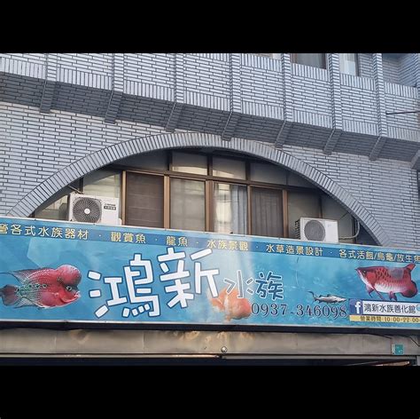 新水魚場|鴻新水族館 店家介紹